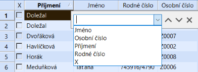 Pole pro vyhledávání textového řetězce ve sloupcích tabulky zvolené agendy