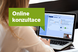 Online konzultace