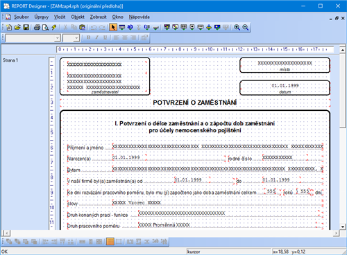 REPORT Designer