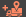 icon_kasa_dorucovaci_adresa_nova_orange.png