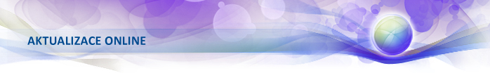 Aktualizace online